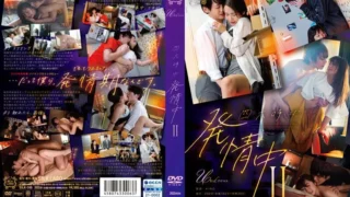 SILK-146: 四六時中estrus中 II – Jav HD